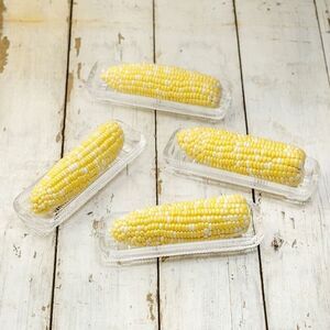 Set of 6 Harold Import Co. 8.5" Glass Corn Dishes